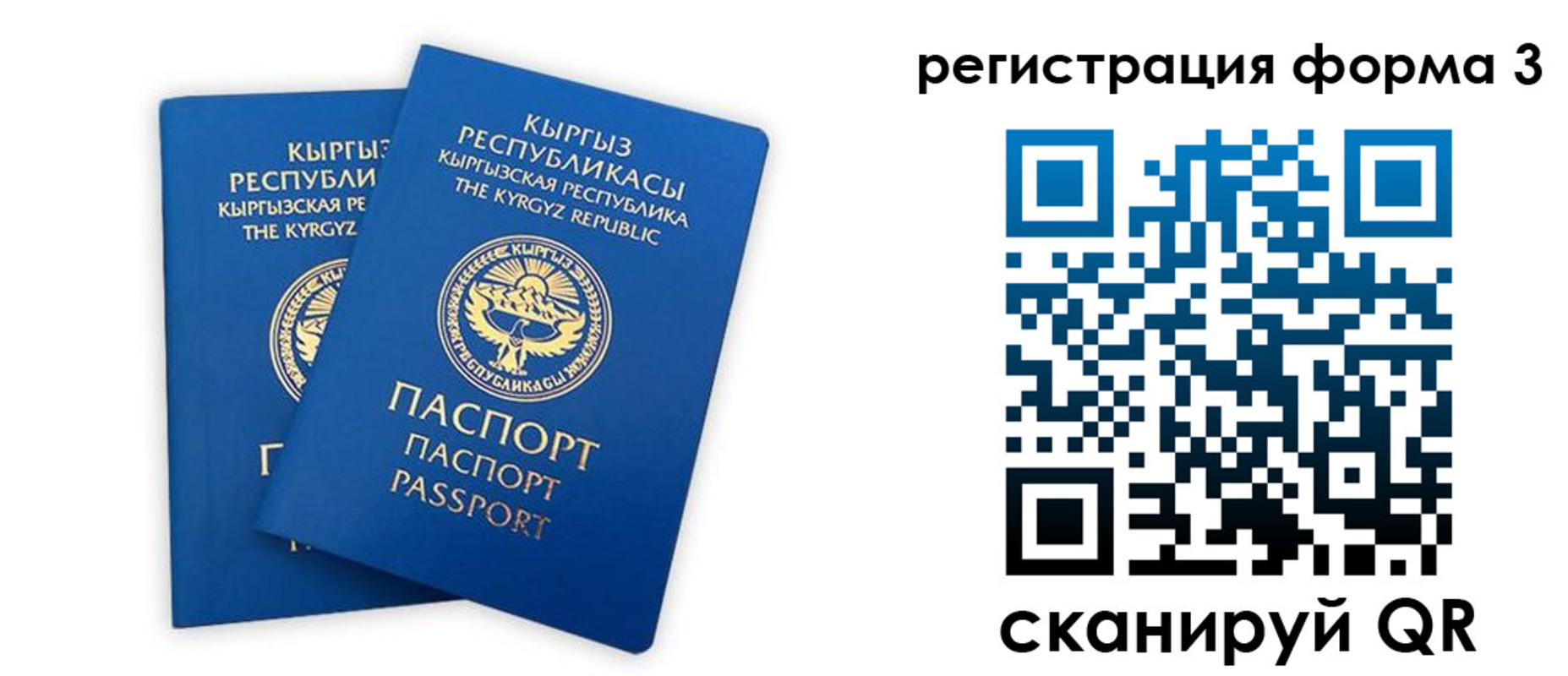 временная регистрация госуслуги в Камышине